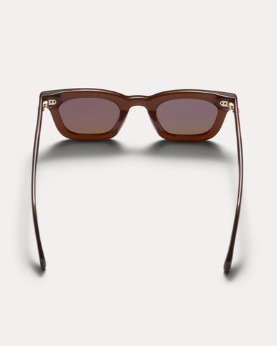 ACE SUNGLASSES